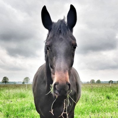 sonja__00's profile picture. 