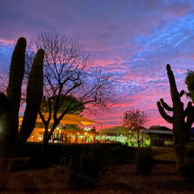 J_o1cul's profile picture. 👨‍🏫