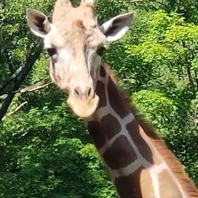 chewy1216438814's profile picture. 🔞  NSFW posting what I like/  ,kinky, perverted, whatever floats your boat.
You can't shock me. (Nothing illegal) Erie pa