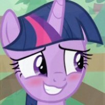 Hello there! my name is Twilight Sparkle! Princess of Friendship and lover of books! would you like to study with me?~ #openDMs 💜