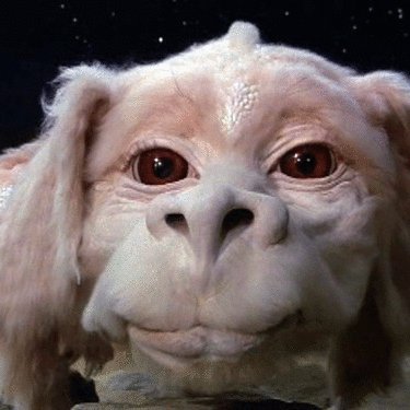 I roll with the Falkor / Lack political ideology and I don't want to be on a side.