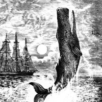 Moby-Dick (line by line) (@mobydick_lbl) 's Twitter Profile Photo Moby-Dick (line by line) (@mobydick_lbl) 's Twitter Profile Photo