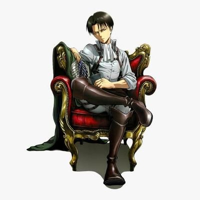 Levi