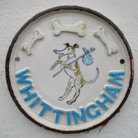 Whittingham Kennels - Retired Greyhounds Charity(@Whitthounds) 's Twitter Profile Photo