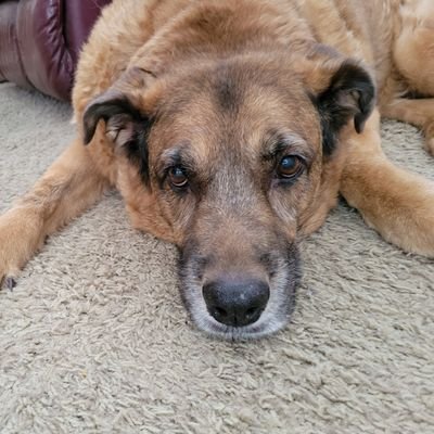 TRhodes14798's profile picture. 