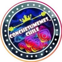 Conchesumemes_chile (@conchesumemes_c) 's Twitter Profile