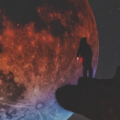 untamed_313's profile picture. 