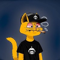 Дмитрий Аболимов ❤️ Memecoin (@jangopro6) 's Twitter Profile