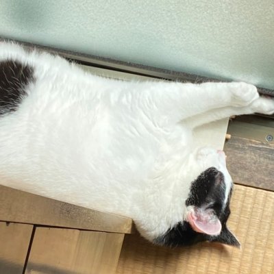 sugiyama_invest's profile picture. 出戻りしました。
今年意匠登録、資金が集まり次第来年に商品開発予定
英会話スクール開始9/8