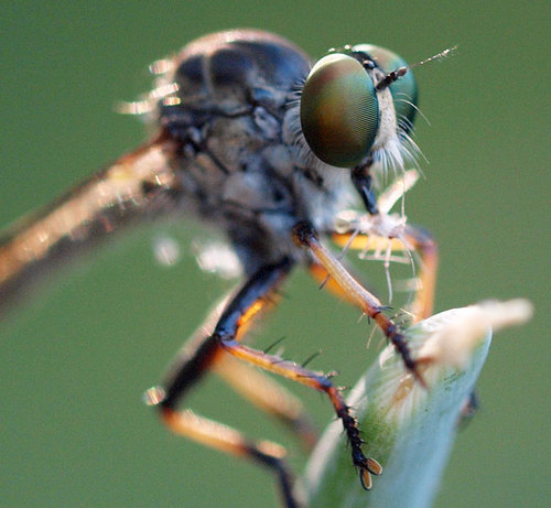 gettingSimple's profile picture. I make a living as a graphic/web designer, but my real passion is simplifying my life, nature, getting to the bottom of things and laughing about it all.