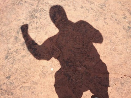 tarmstrongphs's profile picture. Twitter can be a great current events tool that expands what you know about future, current, and past events. Ask and question as you see tweets.