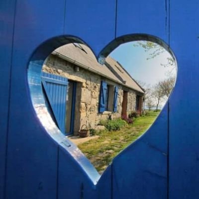 TraezhBreizh's profile picture. 