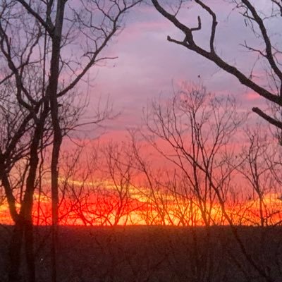 EdJewell77's profile picture. The truth can not be spoken….