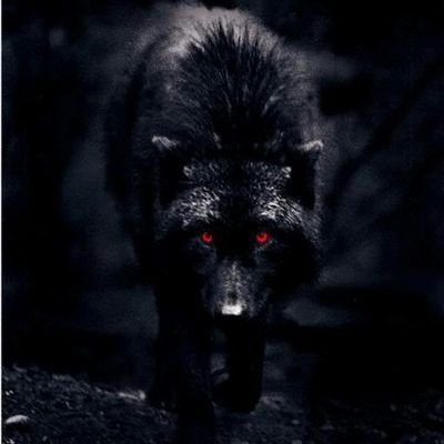 Instagram is  __true__alpha__                 https://t.co/pCynngLuUN…