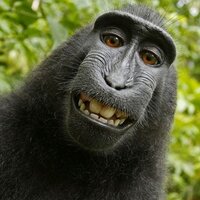 PatrickM (@pmeeks71) 's Twitter Profile