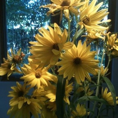 Kioti33's profile picture. 