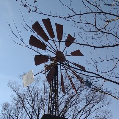 みよしさんのプロフィール画像