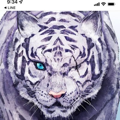 yu2132's profile picture. 京都在住。仕事終わったら趣味の時間♪