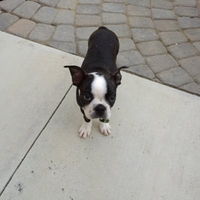 AmyPerine1's profile picture. 