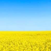 artypupkin's profile picture. 