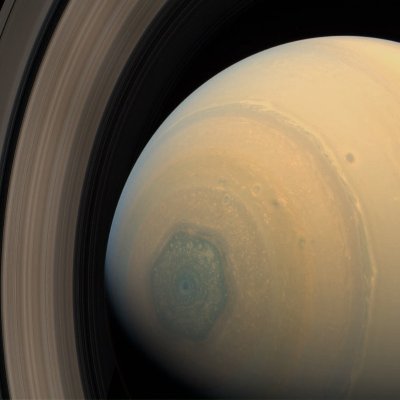 BersiaDavid's profile picture. 