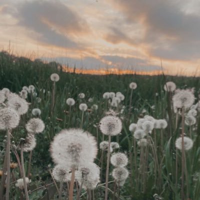 Nadiiima's profile picture. 