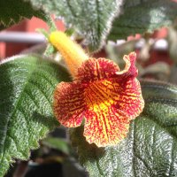 Wade Roberts (@wwaaaddddeee) 's Twitter Profile