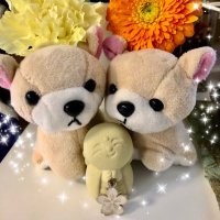 ミザ (@hokun_st6) 's Twitter Profile Photo