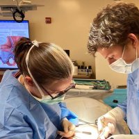 M. Cat Brandt, MD (@mcatbrandt) 's Twitter Profile