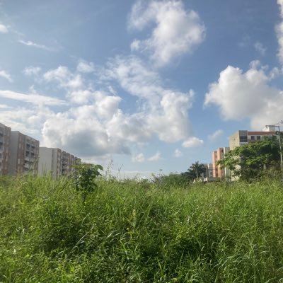 JohnBalanta04's profile picture. Medico, aficionado a la fotografía y la literatura