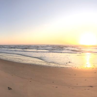 EloisePepper2's profile picture. I am just a young teacher aiming to build my knowledge and skills to be a positive role model for young students and help make a difference in our world.✨