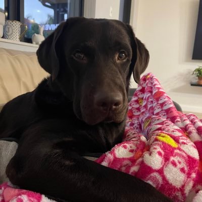 net64bit's profile picture. 