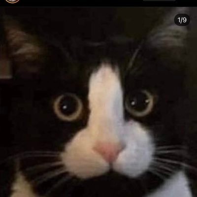 iamquansteli's profile picture. attempting to be a crypto analyst