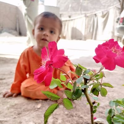 Sohanisindh's profile picture. ھڪ سنڌ ھڪ آواز ❤️
مان جوئي آهيان سوئي آهيان