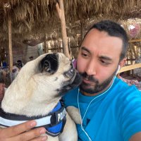 mostafa Afifi (@mafifi17afifi) 's Twitter Profile