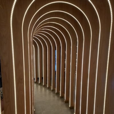 SeanBarton66's profile picture. We may not agree, but freedom of speech, thought, opinion are important.