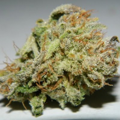 RBamza's profile picture. Ape for life. Get rich or die buying.
$amc $gme