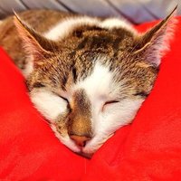 MagdaLena (@magdalenkabiz) 's Twitter Profile