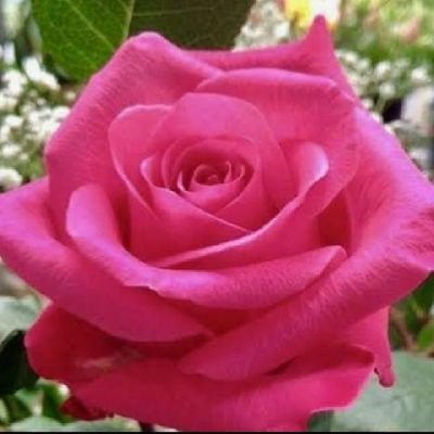 Tamilmagan97's profile picture. 