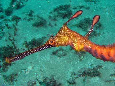 Web2_0Girl's profile picture. 