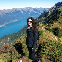 Curious Goose Travel (@_curious_goose) 's Twitter Profile Photo