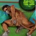 Monkeymeme2020 (@monkeymeme2020) Twitter profile photo Monkeymeme2020 (@monkeymeme2020) Twitter profile photo