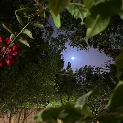 l_Morpho1's profile picture. trying to be the best version of myself.