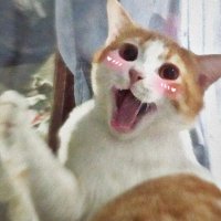 tethayooo (@sypreman) 's Twitter Profile