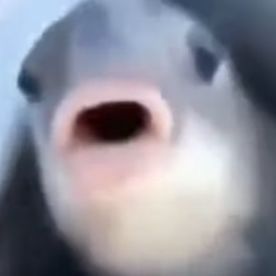 Naisuunaisu's profile picture. 