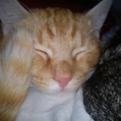 MichelleDemant1's profile picture. 