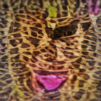 @︎№#ident𝚍 (@no_identd) 's Twitter Profile