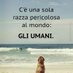 Claudio Ripoli (@claudio_ripoli) Twitter profile photo Claudio Ripoli (@claudio_ripoli) Twitter profile photo