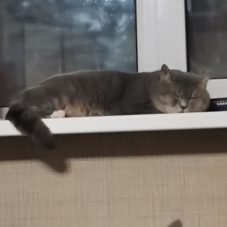 Metform1215's profile picture. 