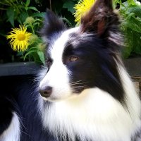 Jackie (@jackieholmes111) 's Twitter Profile Photo Jackie (@jackieholmes111) 's Twitter Profile Photo